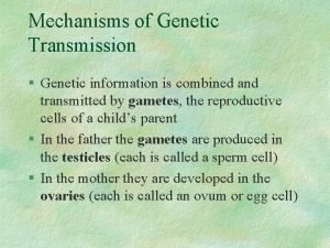 Mechanisms of Genetic Transmission Genetic information is combined