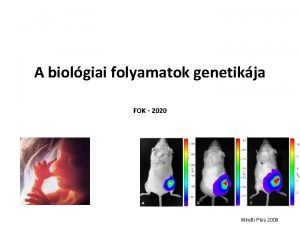 A biolgiai folyamatok genetikja FOK 2020 Miretti Plos