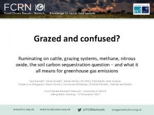 Grazed and confused
