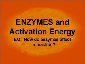 ENZYMES and Activation Energy EQ How do enzymes