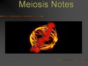 Meiosis Notes Chromosomes n Chromosomes n Occur in