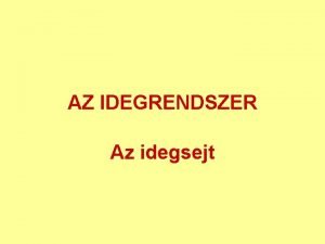 AZ IDEGRENDSZER Az idegsejt A neuronmkds alapjai Felpts