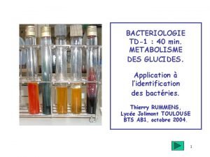 BACTERIOLOGIE TD1 40 min METABOLISME DES GLUCIDES Application