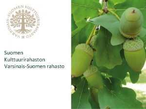 Suomen Kulttuurirahaston VarsinaisSuomen rahasto VarsinaisSuomen rahasto on perustettu