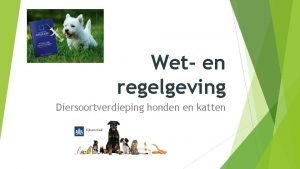 Honden en katten besluit