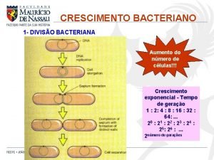 Crescimento bacteriano fases