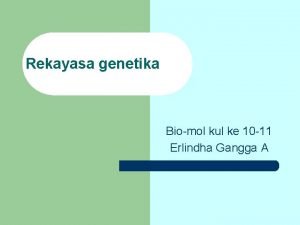 Rekayasa genetika Biomol kul ke 10 11 Erlindha