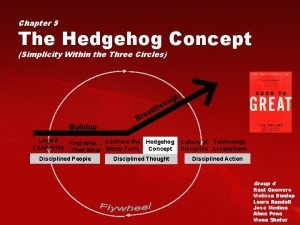 Hedgehog concept examples