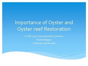 Oyster importance