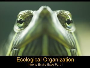 Levels of ecological organization in order