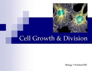 Cell Growth Division Biology Pearland ISD Cell Division