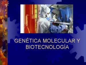 GENTICA MOLECULAR Y BIOTECNOLOGA INTRODUCCIN La biotecnologa con