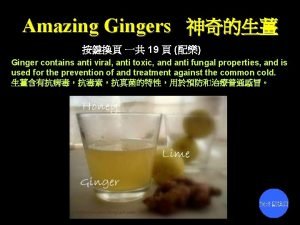 Amazing Gingers 19 Ginger contains anti viral anti