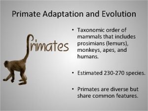 Primate Adaptation and Evolution Taxonomic order of mammals