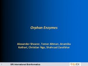 Orphan Enzymes Alexander Shearer Tomer Altman Anamika Kothari