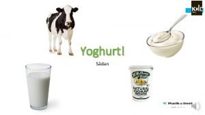 Hvad er yoghurt