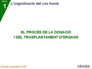 UNITAT 1 Lorganitzaci del cos hum EL PROCS