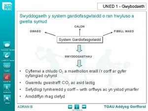 UNED 1 Gwybodaeth Swyddogaeth y system gardiofasgwlaidd o