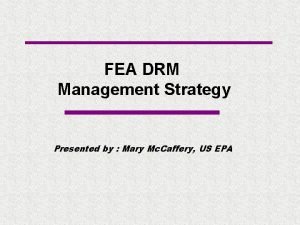 FEA DRM Management Strategy Presented by Mary Mc