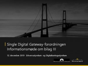 Single Digital Gatewayforordningen Informationsmde om bilag III 12