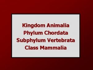 Kingdom Animalia Phylum Chordata Subphylum Vertebrata Class Mammalia