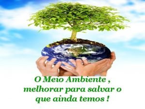 O Meio Ambiente melhorar para salvar o que