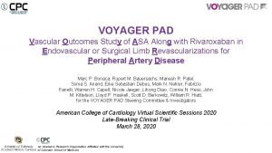 Voyager pad Voyager pad
