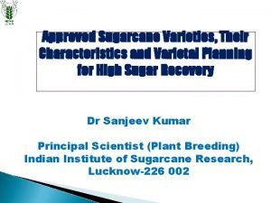 Approved Sugarcane Varieties Their Characteristics and Varietal Planning