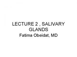 LECTURE 2 SALIVARY GLANDS Fatima Obeidat MD SALIVARY