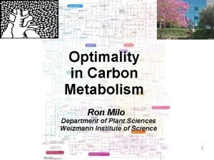 Optimality in Carbon Metabolism Ron Milo Department of