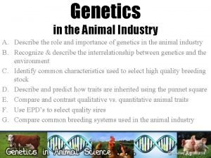 Genetics in the Animal Industry A Describe the