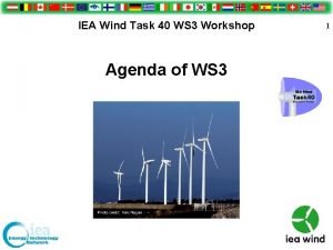 IEA Wind Task 40 WS 3 Workshop Agenda