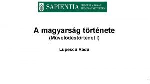 A magyarsg trtnete Mveldstrtnet I Lupescu Radu 1