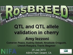 QTL and QTL allele validation in cherry Amy