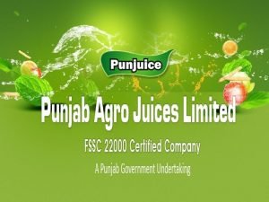 Punjab agro juices limited