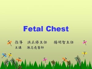 Chest Development Congenital Diaphragmatic Hernia Cystic Adenomatoid Malformation