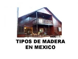 TIPOS DE MADERA EN MEXICO TIPOS DE MADERA