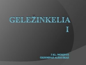 GELEINKELIA I 3 KL MOKINYS GEDIMINAS ALAUSKAS KAS