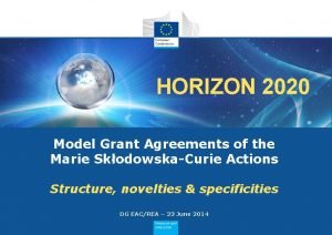 Model grant agreement