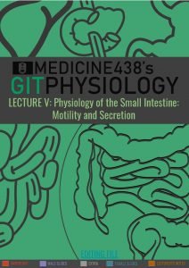 LECTURE V Physiology of the Small Intestine Motility