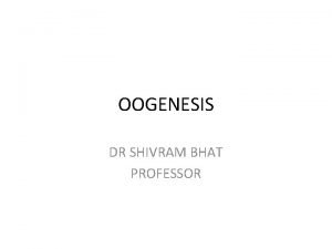 OOGENESIS DR SHIVRAM BHAT PROFESSOR LEARNING OBJECTIVES TO