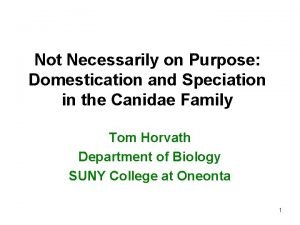 Not Necessarily on Purpose Domestication and Speciation in