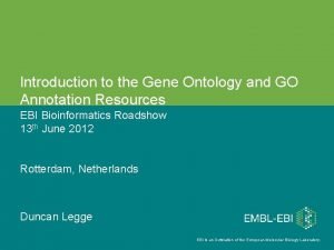 Gene ontology