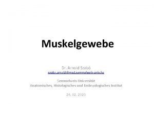 Muskelgewebe Dr Arnold Szab szabo arnoldmed semmelweisuniv hu