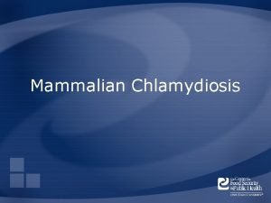 Mammalian Chlamydiosis Overview Organism History Epidemiology Transmission Disease