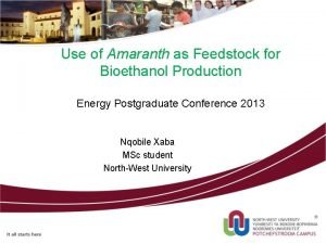 Use of Amaranth as Feedstock for Bioethanol Production