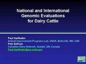 National and International Genomic Evaluations for Dairy Cattle