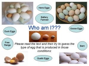 Battery farmed eggs