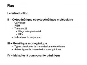 Plan I Introduction II Cytogntique et cytogntique molculaire