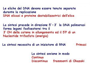 Le eliche del DNA devono essere tenute separate